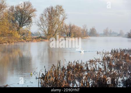 Sur Cambridgeshire, Royaume-Uni. 5 novembre 2020. Nagé sur la rivière Great Ouse dans la brume matinale lors d'un matin d'automne glacial. Crédit : Julian Eales/Alay Live News Banque D'Images