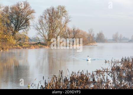 Sur Cambridgeshire, Royaume-Uni. 5 novembre 2020. Nagé sur la rivière Great Ouse dans la brume matinale lors d'un matin d'automne glacial. Crédit : Julian Eales/Alay Live News Banque D'Images