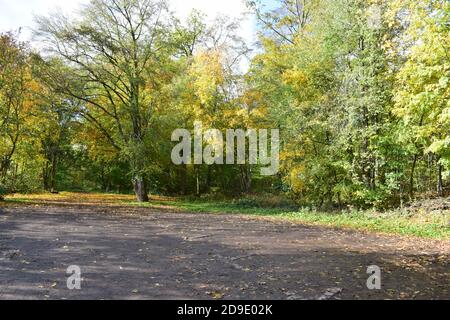 Parking en automne Banque D'Images