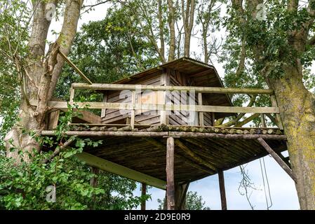 Une petite maison en bois construite entre deux arbres sur une terrasse en bois. Banque D'Images