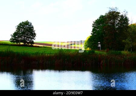 Calme Holzmaar à l'automne Banque D'Images