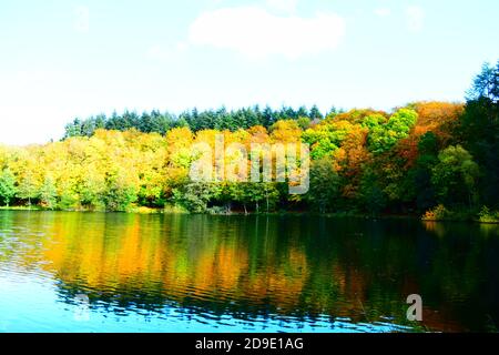 Calme Holzmaar à l'automne Banque D'Images