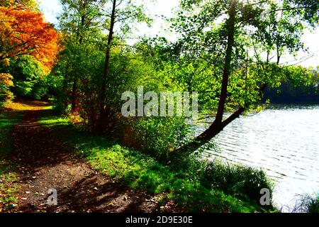 Calme Holzmaar à l'automne Banque D'Images