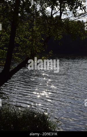 Calme Holzmaar à l'automne Banque D'Images