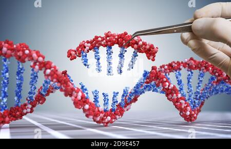 Génie génétique, OGM et concept de manipulation génétique. La main insère la séquence d'ADN. Illustration 3D de l'ADN. Banque D'Images