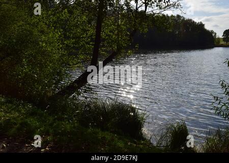 Calme Holzmaar à l'automne Banque D'Images