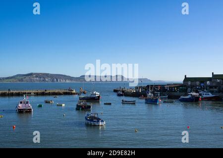 Lyme Regis, Dorset, Royaume-Uni. 5 novembre 2020. UK Weather: Le Cobb et le port sur une belle journée ensoleillée le premier jour de la fermeture de quatre semaines à la station balnéaire de Lyme Regis. Credit: Celia McMahon/Alamy Live News Banque D'Images