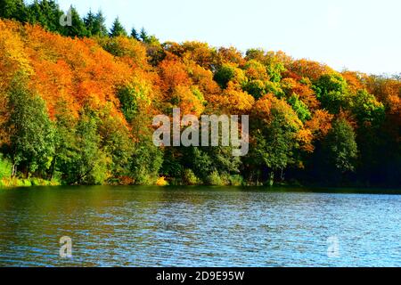 Calme Holzmaar à l'automne Banque D'Images