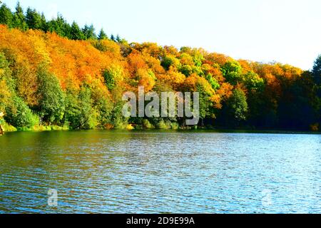 Calme Holzmaar à l'automne Banque D'Images