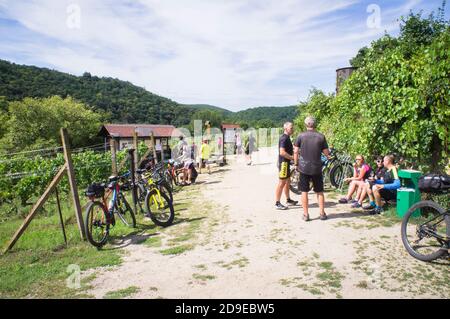 Les cyclistes se reposent sur un kiosque à Sobes Vineyard, l'un des plus anciens sites viticoles de Moravie, dans le parc national de Podyji, près de la frontière sud Banque D'Images