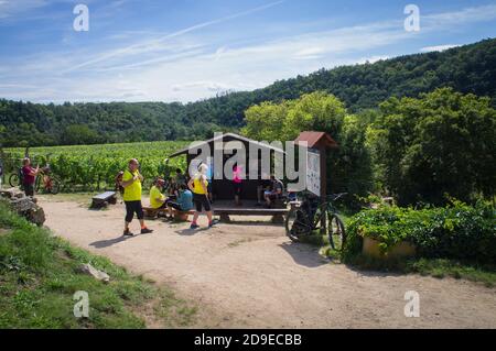 Les cyclistes se reposent sur un kiosque à Sobes Vineyard, l'un des plus anciens sites viticoles de Moravie, dans le parc national de Podyji, près de la frontière sud Banque D'Images