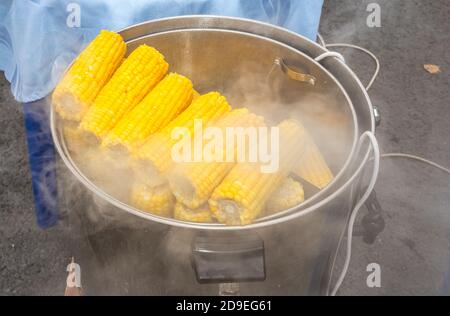 Le maïs à la vapeur dans une casserole de cuisson, les aliments de rue. La bouillie de maïs avec un peu de sucre ou de sel pour obtenir un délicieux goût Banque D'Images
