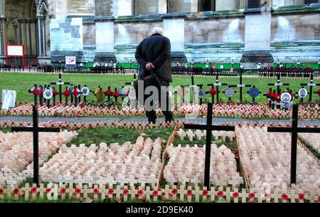 Un homme paie ses respects lorsqu'il voit les coquelicots et les croix placés tout autour du vert devant l'abbaye avant le service du jour du souvenir. Des centaines de croix avec des coquelicots sont posées dans le domaine de l'abbaye en préparation du service du jour du souvenir à l'abbaye de Westminster. Banque D'Images