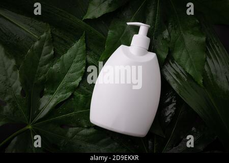 flacon de pompe à lotion pour le corps blanc vierge sur des feuilles vertes humides. vue du dessus espace réservé aux copies Banque D'Images