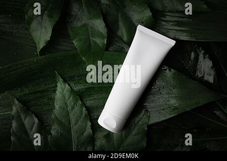 tube blanc crème vierge sur feuilles vertes humides. vue de dessus espace de copie Banque D'Images