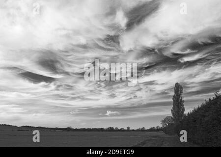 Cirrus Clouds sur Lincolnshire Wolds en noir et blanc Banque D'Images