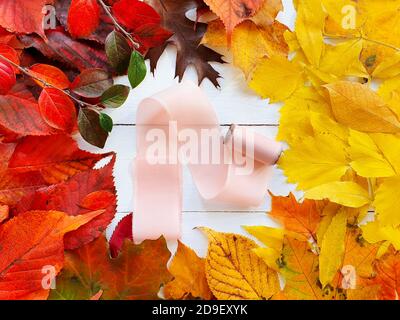 Ruban en soie rose et cadre rond de feuilles colorées d'automne sur une table en bois blanc. Vue de dessus. Chute à plat, espace libre pour votre texte ou produit. Banque D'Images