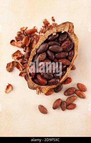 Fèves de cacao fraîchement torréfiées dans des gousses et des peaux sur fond beige. Super-alimentation. Banque D'Images