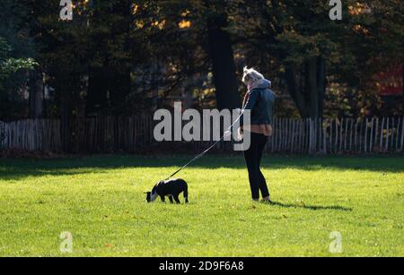 Femme caucasienne portant un masque facial protecteur et marchant son chien dans le parc de la Villette lors du second confinement national déclaré en France. Banque D'Images