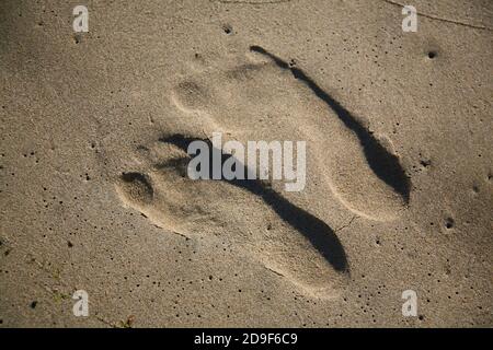 empreintes humaines sur le sable Banque D'Images