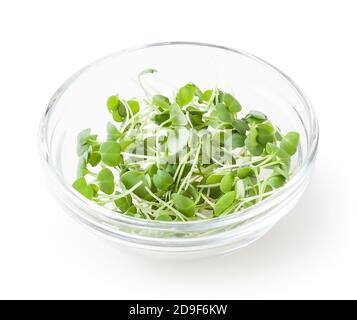 Tas de micro greens arugula pousses dans un bol en verre isolé sur fond blanc avec chemin de découpe Banque D'Images