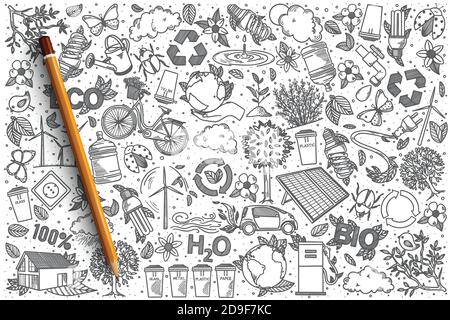 Jeu de caniche à vecteur écologique dessinées à la main Illustration de Vecteur