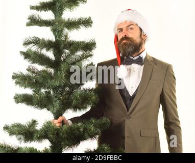 Le réalisateur avec barbe se prépare pour Noël. Concept de fête d'entreprise de Noël. Un homme d'affaires au visage fier porte un arbre de Noël chauve. Homme en costume élégant et chapeau de père Noël isolé sur fond blanc Banque D'Images