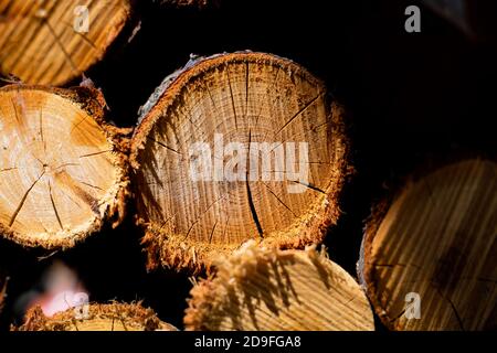 Pile de bois de feu en plein cadre. Préparatifs d'hiver dans le village. Banque D'Images