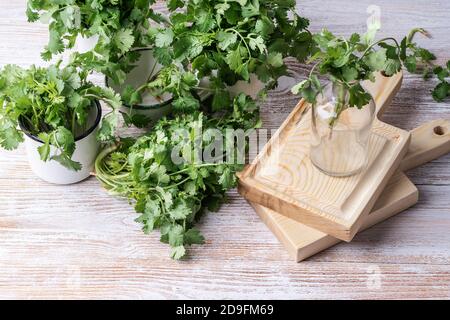 Coriandre fraîche dans des mugs ruraux sur une table en bois Banque D'Images