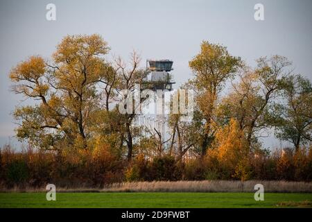 05 novembre 2020, Brandebourg, Schönefeld: La tour du nouvel aéroport Berlin Brandenburg Willy Brandt (BER) peut être vu d'un champ derrière des arbres avec des feuilles de couleur automnale. Photo: Bernd von Jutrczenka/dpa Banque D'Images