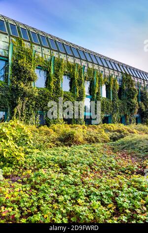 Bibliothèque de l'Université de Varsovie jardin sur le toit, Varsovie Pologne Banque D'Images