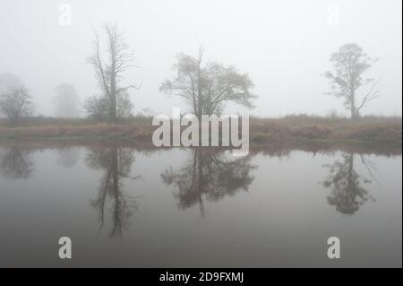 Rivière Liwiec à LIW, voïvodie de Masovie, Pologne Banque D'Images