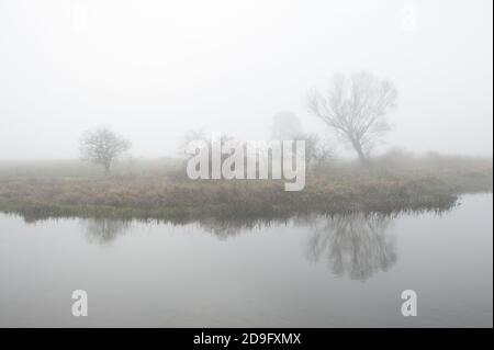 Rivière Liwiec à LIW, voïvodie de Masovie, Pologne Banque D'Images