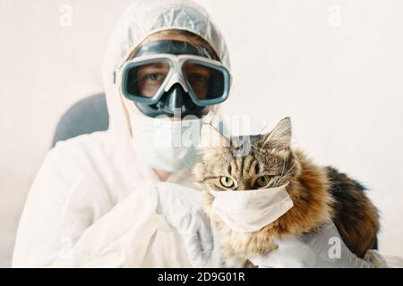 Le médecin et le chat sont à l'abri du coronavirus. Cat dans un masque de protection. Banque D'Images