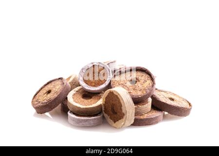 Des piles de comprimés de tourbe de semis isolés sur fond blanc Banque D'Images