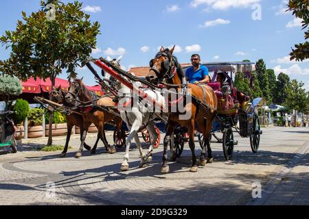 BUYUKADA, TURQUIE, JULLY 26 2019, cheval et calèche aux îles Princes Buyuk ada, Istanbul, Turquie. Visite de Phaeton dans les îles Prince. Turc connu sous le nom Banque D'Images