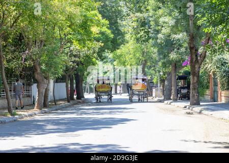 BUYUKADA, TURQUIE, JULLY 26 2019, cheval et calèche aux îles Princes Buyuk ada, Istanbul, Turquie. Visite de Phaeton dans les îles Prince. Turc connu sous le nom Banque D'Images