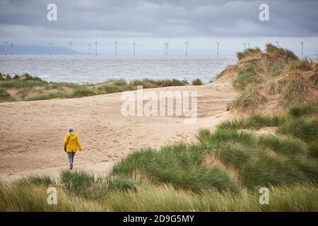 Formby Merseyside, Angleterre. Dunes de sable en bois et en front de mer de la fiducie nationale qui regardent vers les éoliennes dans le paysage Banque D'Images