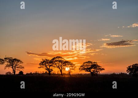 Coucher de soleil sur les champs sur la rive du Wash à Norfolk. Banque D'Images