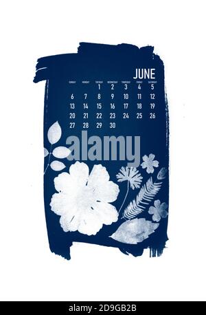 calendrier 2021 créé avec le processus cyanotype avec des feuilles florales. Mois de juin. Banque D'Images