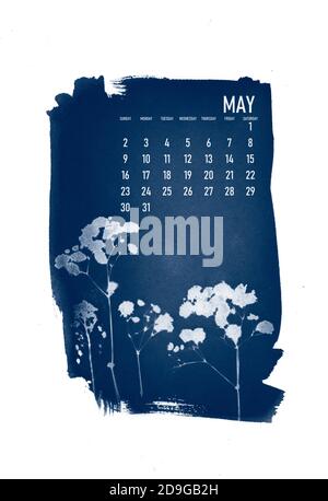 calendrier 2021 créé avec le processus cyanotype avec des feuilles florales. Mois de mai. Banque D'Images