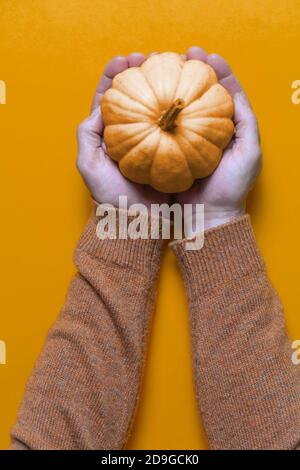 Vue verticale du dessus d'une personne tenant une citrouille - conception plate - concept: Automne, automne Banque D'Images