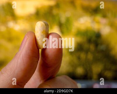 Doigts tenant la pilule de fines herbes contre la verdure défocused dans le fond Banque D'Images