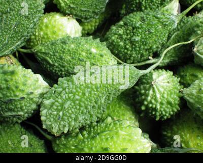 Vue de dessus des gourdes vertes amères Banque D'Images