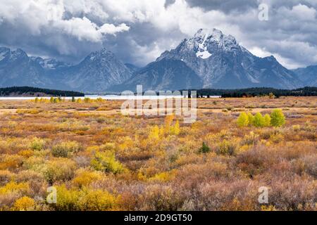 Parc national de Grand Teton, Willow Flats & Mt Moran, automne, Wyoming, États-Unis, par Dominique Braud/Dembinsky photo Assoc Banque D'Images