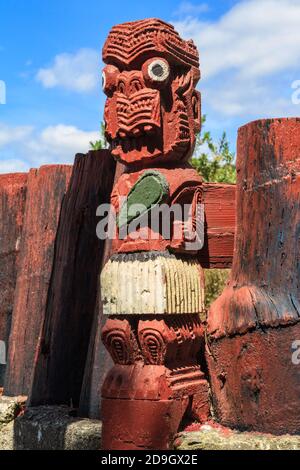 Un vieux maori de Nouvelle-Zélande sculptant en bois d'un guerrier tenant un simple (un club de pierre verte), placé dans une clôture Banque D'Images