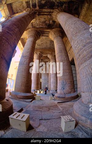 Les parois arrière de la colonnade sont recouvertes de trois Lignes de grands reliefs représentant le pharaon (Ptolémée IX Soter II ou Ptolémée X Alexander I) tenir Banque D'Images