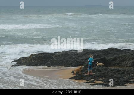 Paysage, femme adulte avec des chiens debout sur la plage, femme regardant la mer, gens, Durban, Afrique du Sud, style de vie en bord de mer, Umhlanga Rocks front de mer Banque D'Images