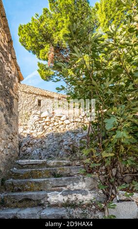 Marches en pierre à l'ombre d'un arbre à Skradin, Croatie Banque D'Images