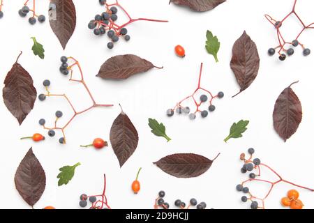 Belle composition d'automne sur fond blanc Banque D'Images